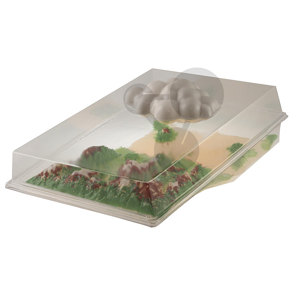 Le cycle de l’eau de A à Z