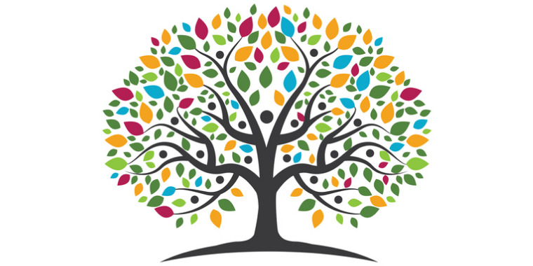 Quelle formation choisir pour apprendre la psychogénéalogie ?